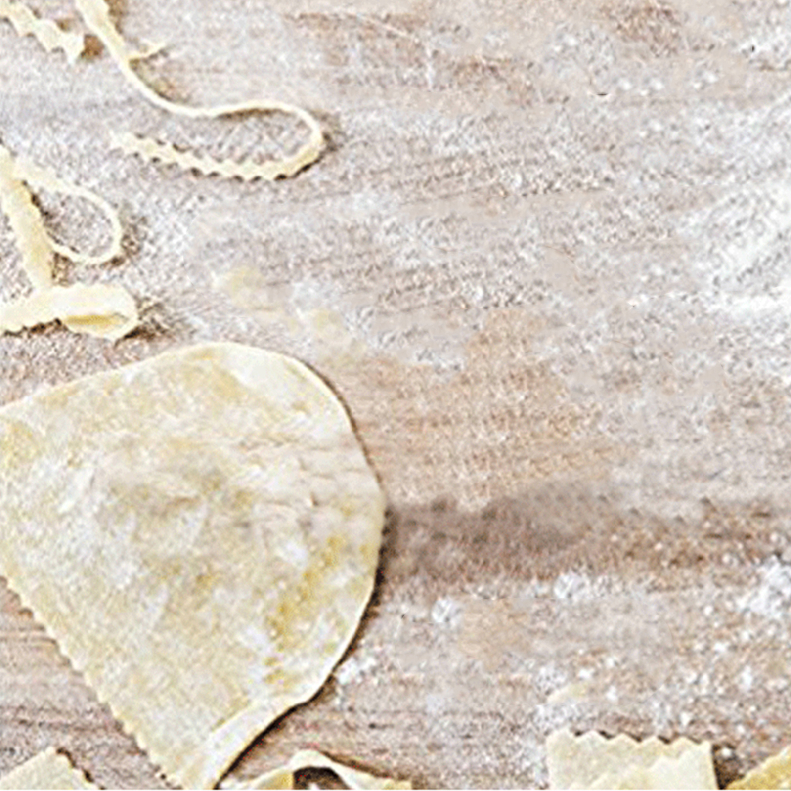 Hand Press Pasta Maker Machine - đánh giá và giá Kitchen Gadgets Pasta