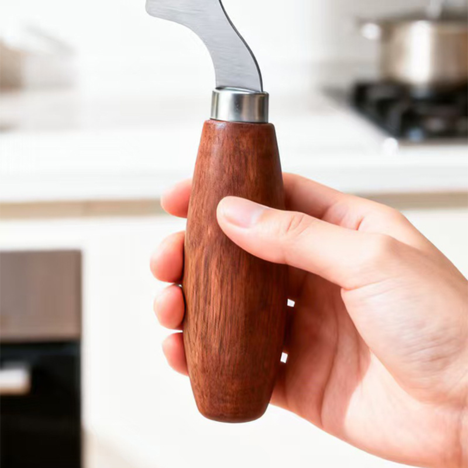 Stainless Steel Green Onion Sl - đánh giá và giá Kitchen Gadgets Green